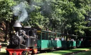 Einst Industriebahn, heute ein Kleinod in der Oberlausitz: die Waldeisenbahn Muskau.