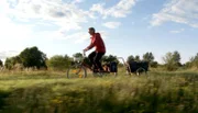 rbb Fernsehen KESSLERS EXPEDITION, "Mit dem Klapprad von Kopenhagen nach Berlin, Folge 1", am Freitag um 20:15 Uhr. Zum fünften Mal geht Michael Kessler für den rbb auf Expedition. Diesmal mit einem Drahtesel als treuem Begleiter. Mehr unfreiwillig ist er in Kopenhagen gestrandet und muss sich mit einem klassischen, leicht rostigen Klappfahrrad zurück nach Berlin durchschlagen. Von der dänischen Hauptstadt aus folgt Kessler dem legendären Radweg Berlin-Kopenhagen.