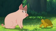 Das Schwein Ronnie ist traurig, denn es weiß nicht wohin, nachdem es ausgesetzt wurde. Törtel versucht zu helfen.