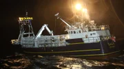 Der Schiff "Saga"