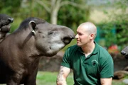 ARD/rbb PANDA, GORILLA & CO., TEIL 268, "Geschichten aus dem Zoo Berlin und Tierpark Berlin", am Mittwoch (04.09.13) um 16:10 Uhr im ERSTEN. Tapire mit Tierpfleger Carsten Schwend.
