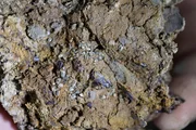 Ejecta Spherules im Sediment