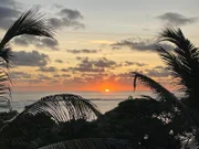 Daniel Krieg ist davon überzeugt, dass der Schatz des Piraten La Buse auf der Insel Mauritius versteckt wurde.