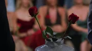Zwei Rosen in der Vase