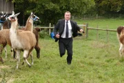 DCI Barnaby auf Verfolgungsjagd