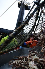 Working on deck of the Time Bandit.
