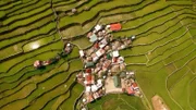Die Reisterassen von Banaue reichen bis in eine Höhe von 1500 m über dem Meer.