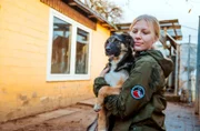 Ein Welpe, der im Tierheim Duisburg erst die Welt entdeckt. Bislang war er nur in einer Wohnung gehalten worden. Zusammen mit seinen Geschwistern wurde er vom Ordnungsamt beschlagnahmt.