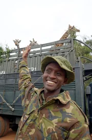 Mike Parkei, Giraffenwärter in der Ruko Community Conservancy, freut sich auf die vier Neuankömmlinge, die bald am Baringosee ein neues Zuhause finden werden.