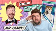 Mister Beast und Tiere bei Youtube