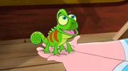 MR. SMEE'S PET