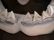 Megalodon-Rekonstruktion, Calvert Marine Museum.