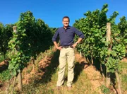 Jens Hübschen im Weinberg