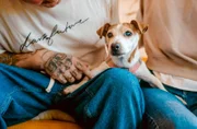 Hündin Ellie ist alt und schon dement. Kann sie noch ein letztes schönes Zuhause finden? Das Tierheim Duisburg setzt alle Hebel in Bewegung, damit sie nicht im Tierheim sterben muss.