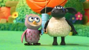 Timmy und Ottis wollen einen Drachen basteln.