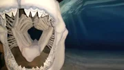 Aus National Geographic Channel's Prehistoric Predators - CGI-Bild von Zähnen.