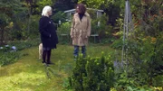Hinterhofgarten von Landschaftsplanerin Petra Gmainer in der Per Albin Hanson Siedlung aus den 40er Jahren in Favoriten.