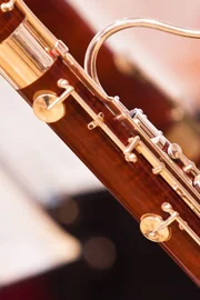 Fragment bassoons in a symphony orchestra