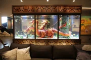 Steve Aoki's finished tank in his home.
