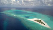 Noch gehört die Unterwasserwelt rund um die Malediven im Indischen Ozean zu den Paradiesen unserer Erde.
