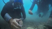 L-R: Stel Pavlou und Mate Parica tauchen im "Roten See"