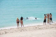 Crowd on beach watching attack.