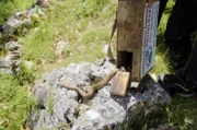 Darko und Vlado lassen die eingefangenen Schlangen in der Wildnis wieder frei – weit ab von der nächsten Siedlung.
