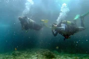 Taucher erkunden die Unterwasserwelt von Santiago.
