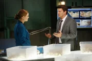Brennan (Emily Deschanel) und Booth (David Boreanaz)