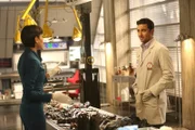 L-R: Camille Saroyan (Tamara Taylor) und  Arastoo Vaziri (Pej Vahdat)