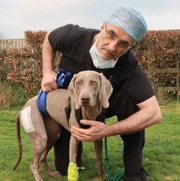Dr. Noel Fitzpatrick.