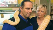 Bernd ist "Feuer und Schlange" für sein neues Schnäppchenhaus in Oranienburg. Auch seine Freundin Jacqueline wird mit einziehen - ebenso fünf Pythons und Boas...