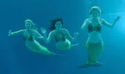Bella (Indiana Evans), Cloe (Phoebe Tonkin) und Rikki (Cariba Heine) beobachten Will bei seinem Tauchgang im Rahmen eines Tauchwettbewerbs, den Zane organisiert hat.