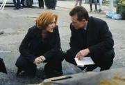 Die Ermittlungen zum Mord an einem Immobilienmakler führen Doggett (Robert Patrick, r.) und Scully (Gillian Anderson, l.) zu einer kleinen, eigenartigen Kammerjägerfirma.