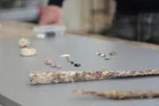Funde aus der Salisbury-Ebene
