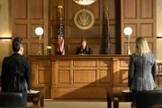 Judge Vitkay (Kathleen York)