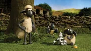 "Shaun, das Schaf", "Die diebische Elster." Egal, was die Elster blitzen sieht, sie muss es haben. Nicht nur, dass sie die Schafe und Bitzer quält. Der Bauer kann nicht einmal in Ruhe sein Essen zu sich nehmen, schon hat die Elster sein glänzendes Besteck gestohlen. Da kommt Shaun eine grandiose Idee, wie er dem Vogel das Diebesgut wieder abluchsen kann: Ein Megaelektromagnet muss her!