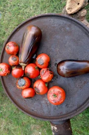 Auf einem Außenofen wird das Gemüse für den Pindžur angebraten und anschließend in Tüten gegeben, um es besser häuten zu können.