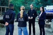 Wilmer Valderrama as NCIS Special Agent Nicholas “Nick” Torres, Emily Wickersham as NCIS Special Agent Eleanor "Ellie" Bishop, Sean Murray as NCIS Special Agent Timothy McGee, Sheva Cohen as Margot Demint.