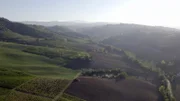 Lambrusco Anbaugebiet.
