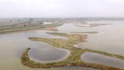 Parco del Delta del Po.