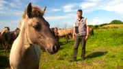 Gerd Kämmer bietet seinen Tieren riesige Naturschutzflächen, auf denen sie fast wie früher und nahezu frei leben. Die Koniks sind den ausgestorbenen Wildpferden noch ähnlich.