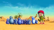 Wissper hat die Pinguine in die Wüste gerufen.