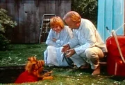 Entgegen allen Erwartungen hat Alf in seiner selbst gebastelten Falle einen Einbrecher gefangen. Kate (Anne Schedeen, l.) und Willie (Max Wright, r.) gratulieren...