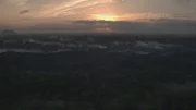Blick über das Kronendach eines südamerikanischen Regenwaldes.