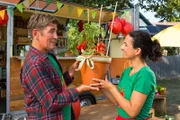 Fritz Fuchs (Guido Hammesfahr) hat zum Tomatenfest eine ganz besondere Überraschung für Yasemin (Sanam Afrashteh): Die Amour-Tomate.