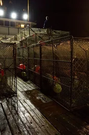 On the deck of the Cornelia Marie.