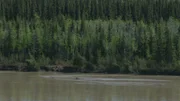 Landschaft, Alaska