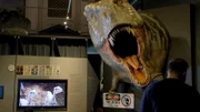 Dinosaurier, Naturhistorische Museum Wien.