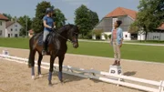 Auf dem großen Reitplatz trifft Pia (rechts) Bereiterin Michaela, die gerade den jungen Hengst Scalatore trainiert.